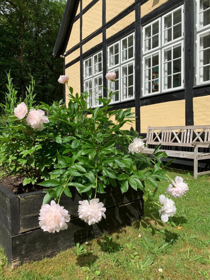 Hotel Egeskoven Viborg Bagian luar foto